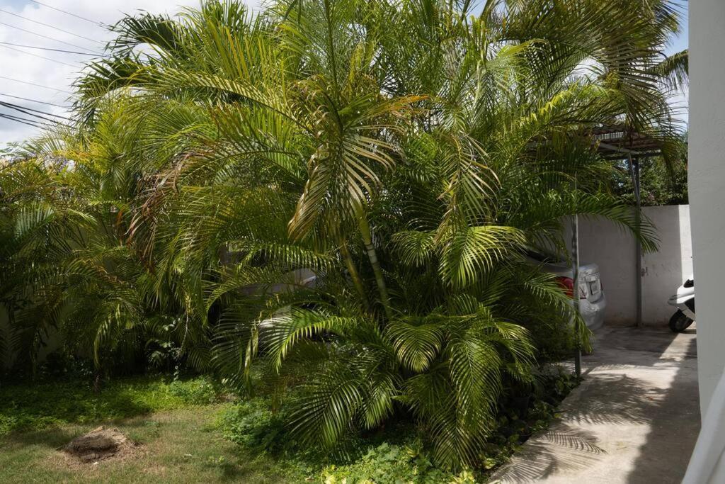 Villa Caribe Bayahibe Extérieur photo